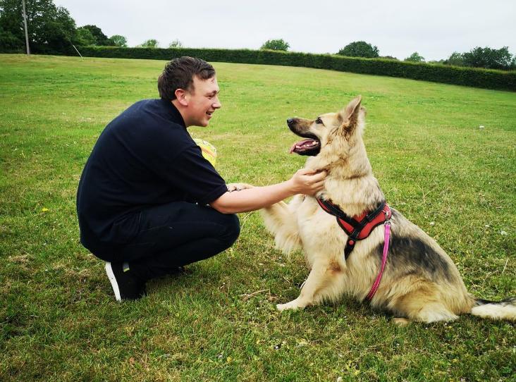 AdoptionsUk's tweet photo. Please RETWEET to help Toyah find a home #CHICHESTER 🇬🇧

Aged 2-5 looking for experienced  rural German Shepherd  home ,rural, only pet,  adults only, loves walks affectionate intelligent ❤️🐶❤️🐶❤️

https://t.co/dHTxVyXUaL

#Saturday #GermanShepherd #dogs #England #UK #pets https://t.co/4qmGuTKmHW