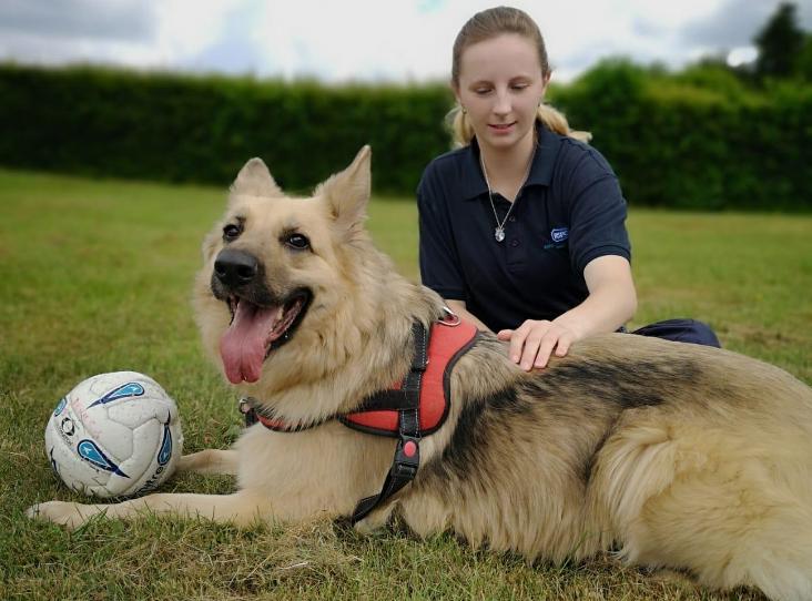 AdoptionsUk's tweet photo. Please RETWEET to help Toyah find a home #CHICHESTER 🇬🇧

Aged 2-5 looking for experienced  rural German Shepherd  home ,rural, only pet,  adults only, loves walks affectionate intelligent ❤️🐶❤️🐶❤️

https://t.co/dHTxVyXUaL

#Saturday #GermanShepherd #dogs #England #UK #pets https://t.co/4qmGuTKmHW