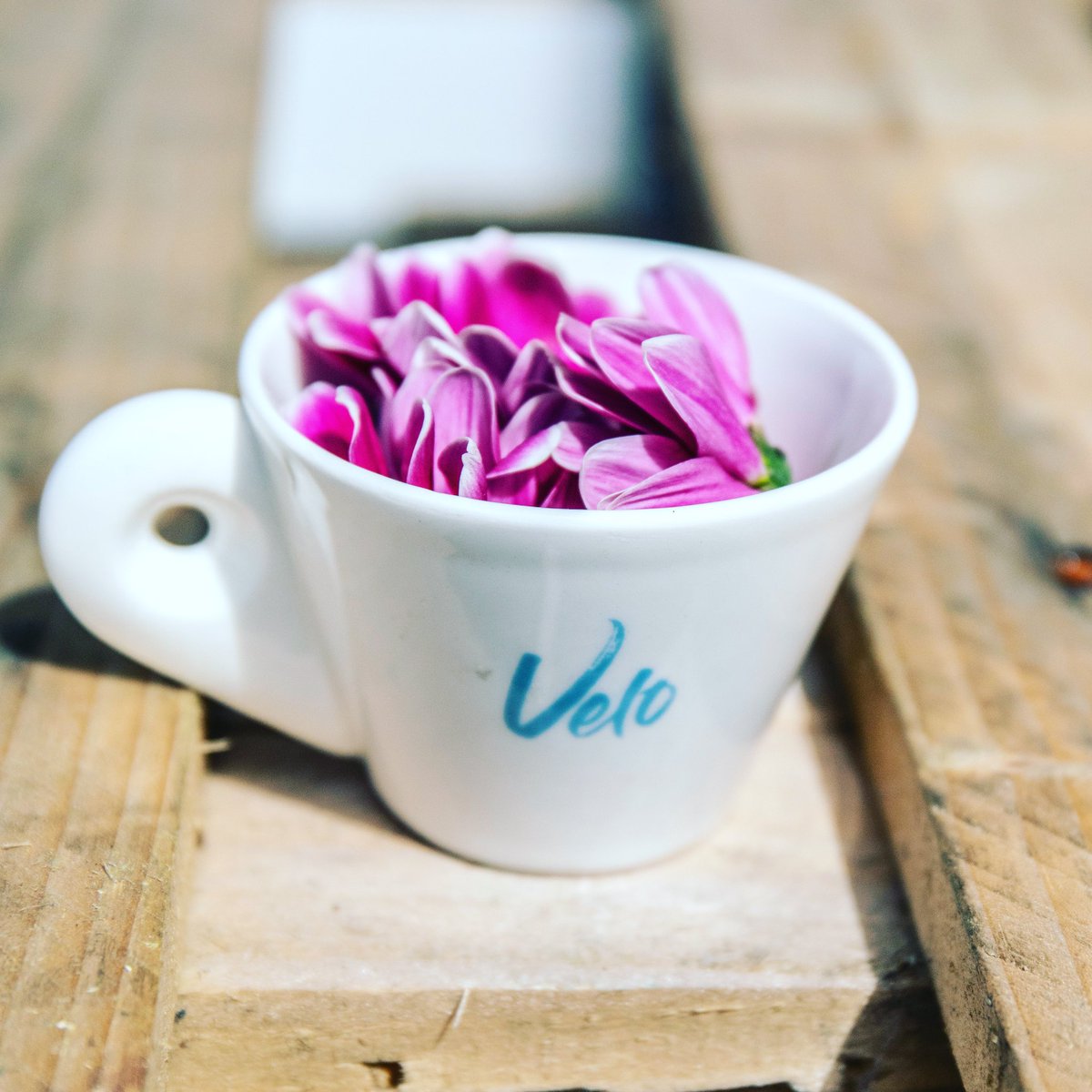 velo_cork's tweet photo. Did someone mention flavour notes? We love floural! #lovevelo #coffee #flavourwheel #notes #explorecoffee https://t.co/wPNZQK1eQa