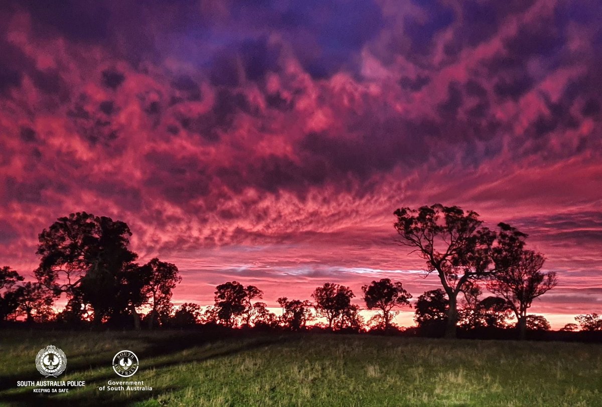 Where on Earth (or #SouthAustralia) is Wrattonbully?! This beautiful sunrise was taken by SAPOL border patrols this morning on Edenhope Rd near the SA / VIC border. Wrattonbully is in the SE of the State near Comaum and Poolaijelo!😆 (Between Naracoorte and Penola😉)