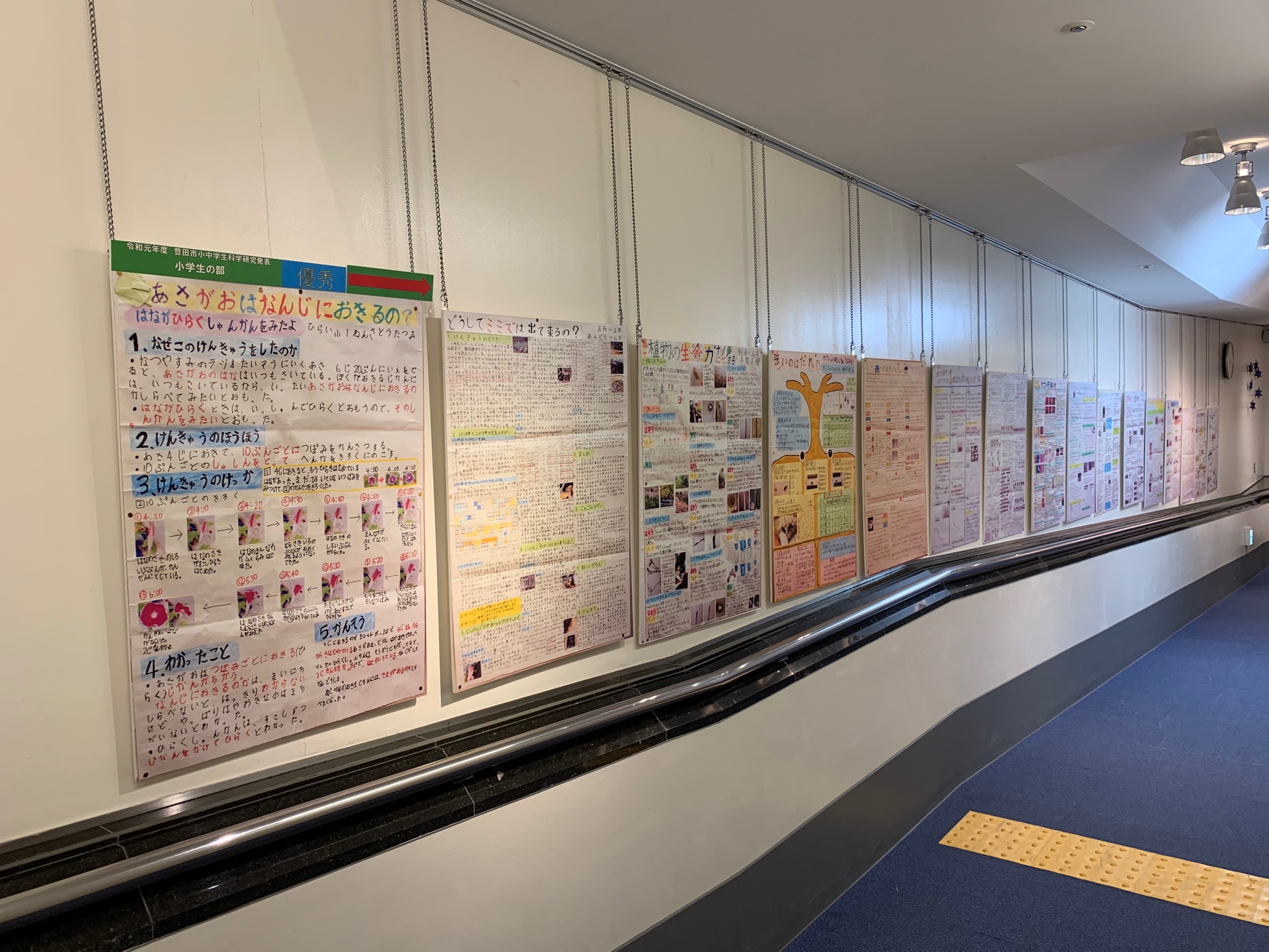 とよた科学体験館 本日7 18 8 30まで 令和元年度 昨年 の豊田市小中学生科学研究 作品展の優秀作品を展示しました 小学生 中学生の研究の成果をごらんください とよた科学体験館 本日7 18 8 30まで 令和元年度 昨年 の豊田市小中学生科学研究 作品展の優秀作品を展示しました 小学生 中学生の研究の成果をごらんください