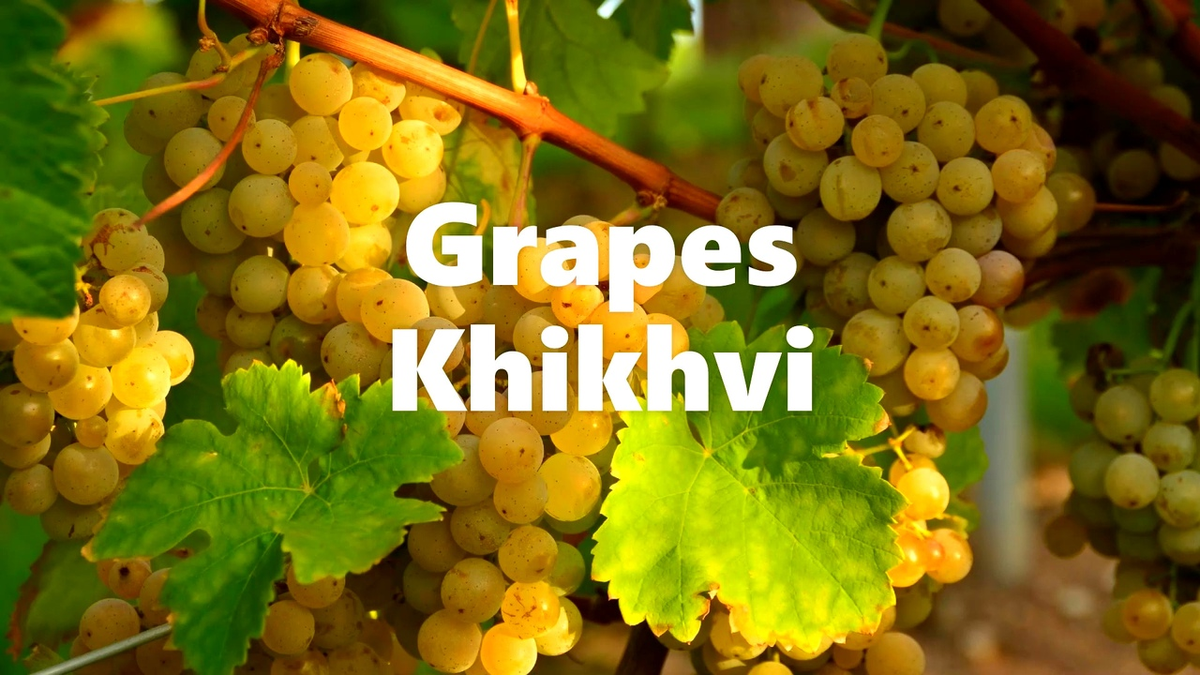 GeorgiaWineland's tweet photo. 🇬🇪☀Chotiashvili''Khikhvi''Rcheuli Kvevri-an exquisite,light, refreshing wine made from light technical Khikhvi Grapes-an ancient autochthonous Georgian variety.
Wine:white-dry
Region:Kakheti-Georgia
Producer: Chotiashvili Winery
Strength:13%
Volume: 0.75
Price-from 20$ https://t.co/5ym9VCa2HC