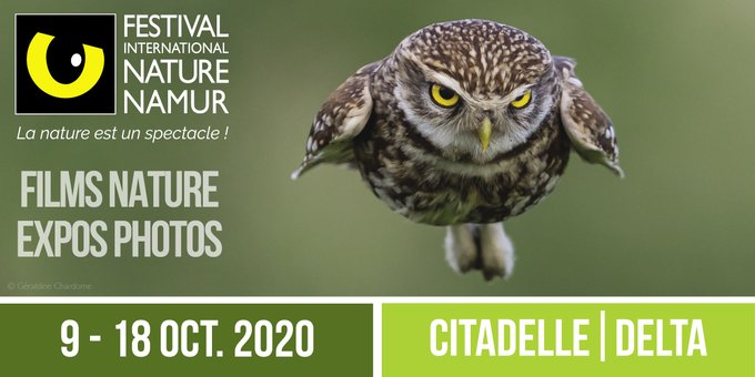 Le Festival International Nature Namur 2020 vous donne (toujours) rendez-vous du 9 au 18 octobre !
Découvrez notre communiqué : bit.ly/395FgA8