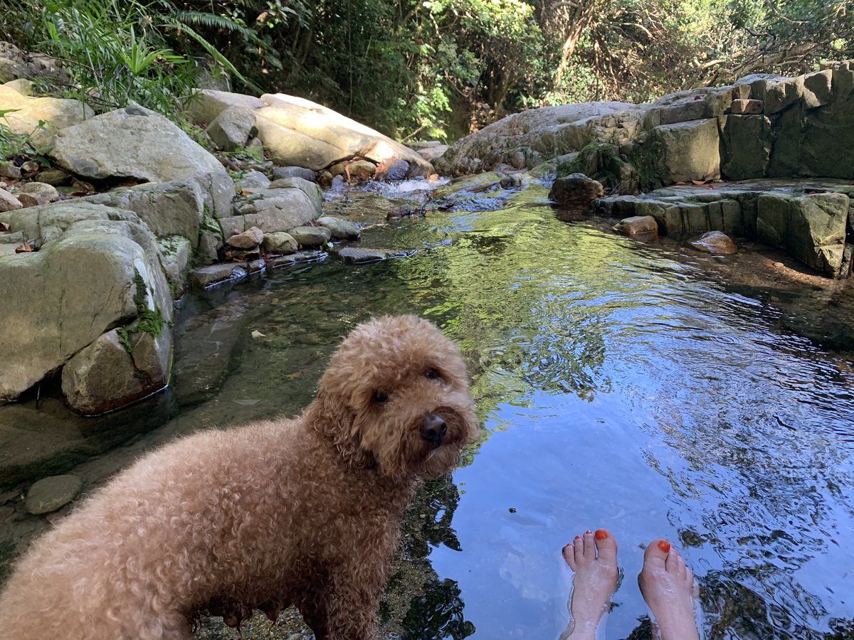 Ive brought a sandwich so just going to sit here for a while.