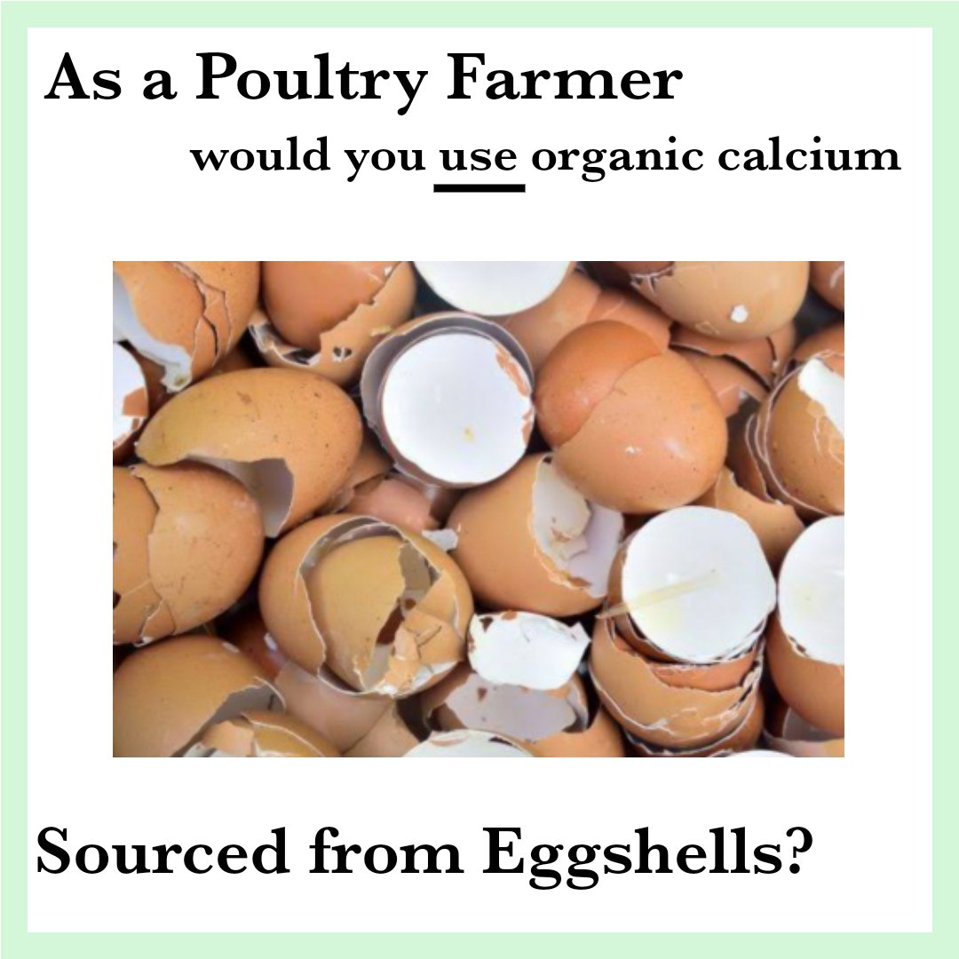 SadeNubi's tweet photo. Would you use organic Calcium sourced from eggshells for your poultry? #poultryfarming #calcium #farmers https://t.co/oGCd6D6y6u