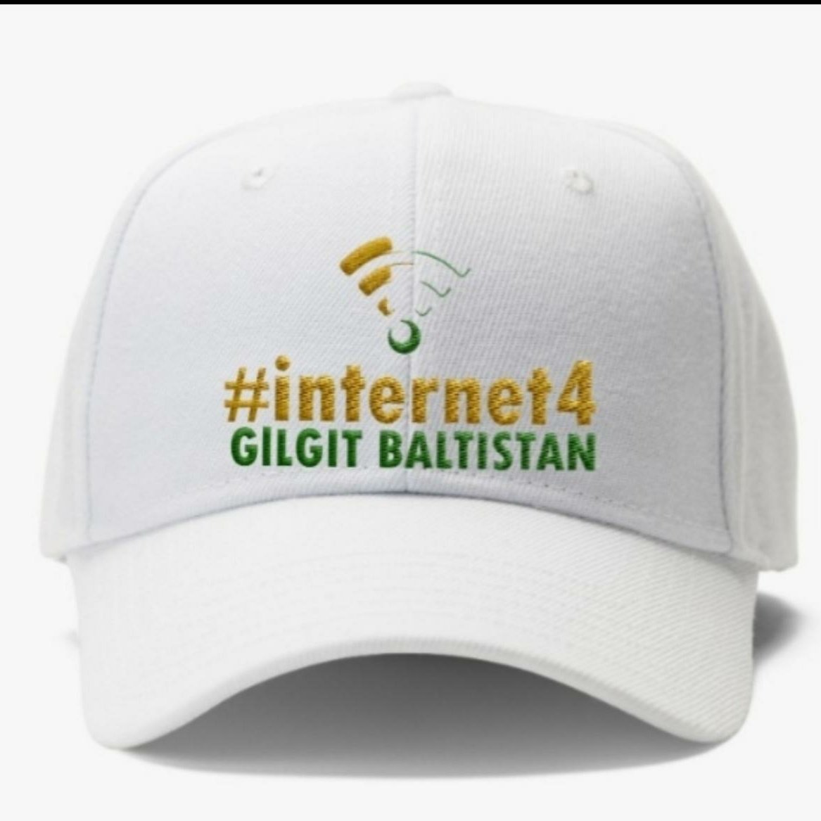 shakeelnagri's tweet photo. Dear GBians &amp; Supporters, 
Change profile picture &amp; keep #Internet4GilgitBaltistan top trend till the issue is solved.
If asking for internet service is betrayal then  #Iamtraitor 
#DownwithSCO https://t.co/cBNilAoYYd