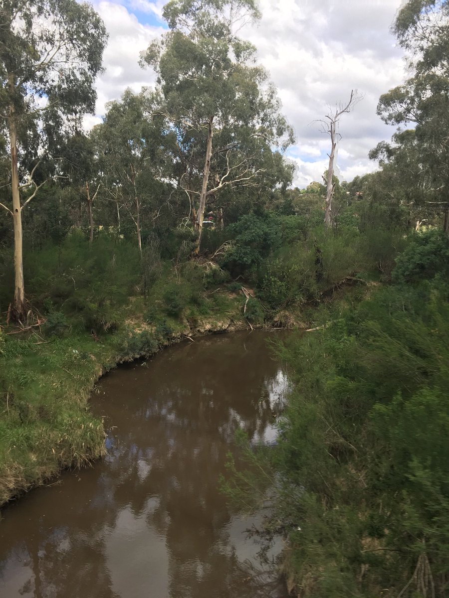 TheRealBecHope's tweet photo. https://t.co/YjyDelbzDZ @jenahansen won’t be on this list for much longer if my powers of persuasion somehow work their magic...come on, who wouldn’t want to be close to scenery like this? #eltham3095 #eaglemont3084 #greensborough3088 #diamondcreek3089 #hurstbridge3099 #movenorth https://t.co/vvvSgF5Fom