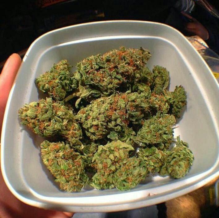 JohnKev420's tweet photo. Faite vous livrer en mp sur
Snapchat: plugcannabis420
Wickr me: plugdacker420 

#Hprop #Paris37 #Paris45 #Paris46 #Paris41 #Paris42 #Bordeaux #Nancy #Metz #Nice6 #strasbourg #Bruxelles #Chernobyl #clermont #weed #toulouse #nantes #rennes #rouen #paris40 #Marseille #vêtement https://t.co/9wozNmPGNt