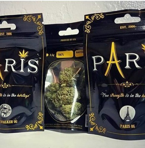 JohnKev420's tweet photo. Faite vous livrer en mp sur
Snapchat: plugcannabis420
Wickr me: plugdacker420 

#Hprop #Paris37 #Paris45 #Paris46 #Paris41 #Paris42 #Bordeaux #Nancy #Metz #Nice6 #strasbourg #Bruxelles #Chernobyl #clermont #weed #toulouse #nantes #rennes #rouen #paris40 #Marseille #vêtement https://t.co/9wozNmPGNt
