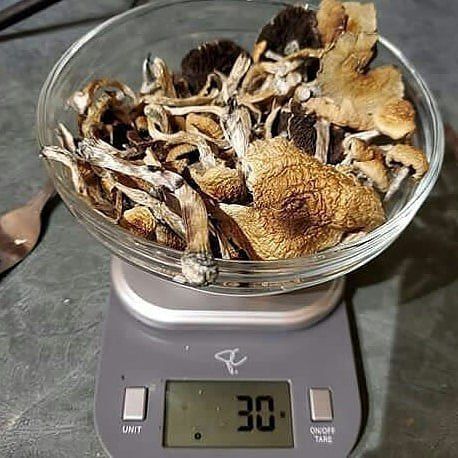 JohnKev420's tweet photo. Faite vous livrer en mp sur
Snapchat: plugcannabis420
Wickr : plugdacker420
 
#lyon #Paris15 #Levallois  #Nanterre #lorient #weedsmokers #shit #clementferrand #beuh #restaurants #saintetienne #Nice #ResterChezVous #campagne #SeineEtMarne 
#Tours #pau #Montpellier #Toulouse #93i https://t.co/sOPkzv0AAk