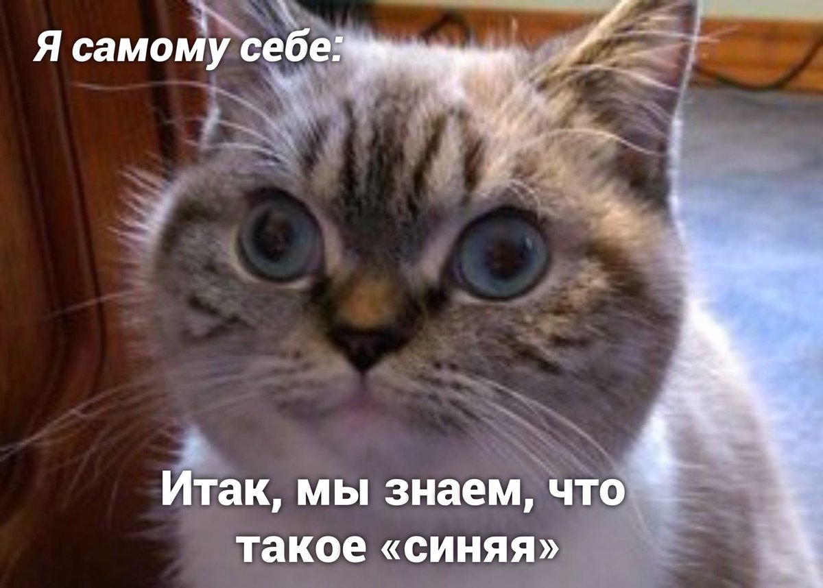 vzrosly_content's tweet photo. Моё любимое https://t.co/vB71kdA6sX