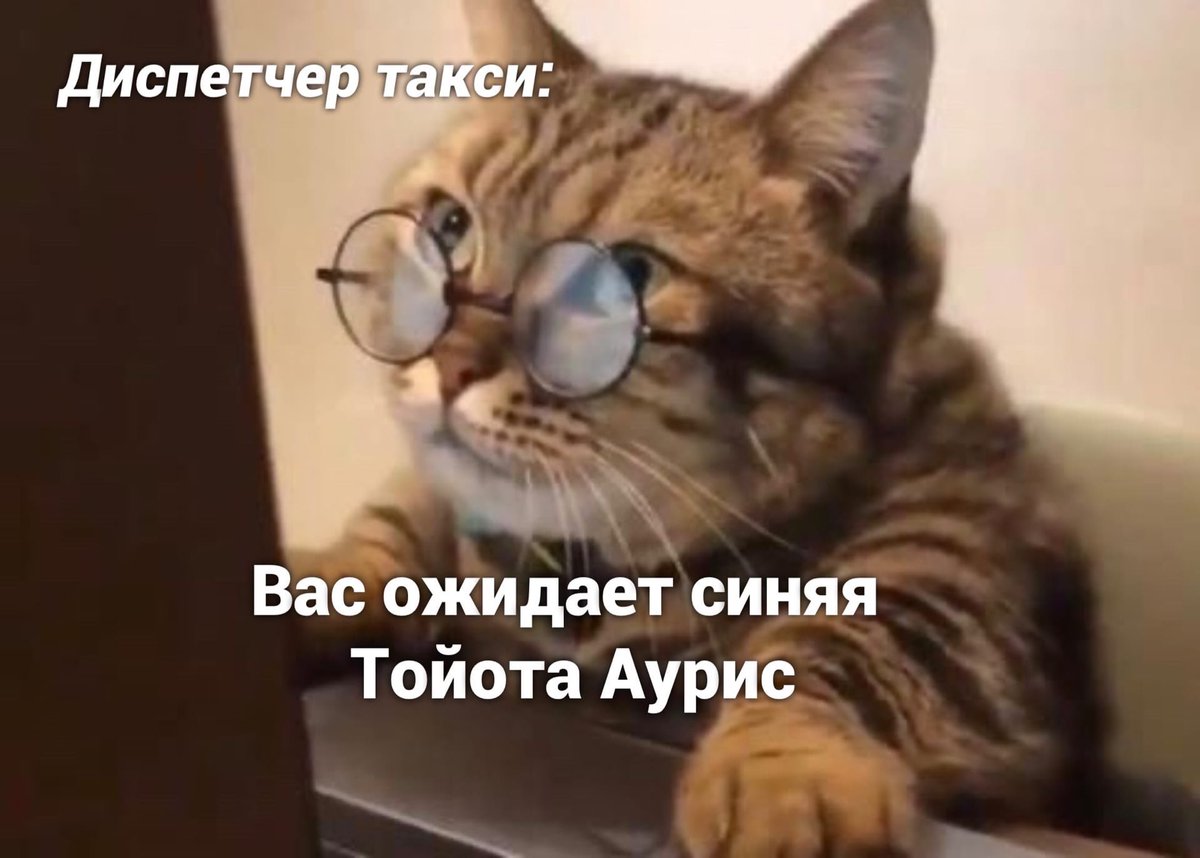 vzrosly_content's tweet photo. Моё любимое https://t.co/vB71kdA6sX