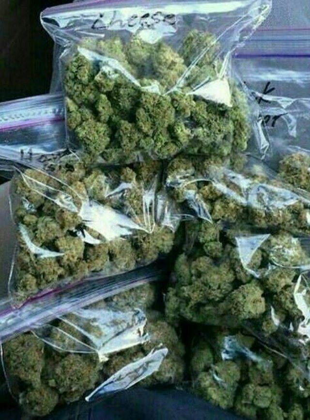 JohnKev420's tweet photo. Faite vous livrer en mp sur
Snapchat: plugcannabis420
Wickr me:plugdacker420 

#ladefense #Tours #paris20 #paris #mulhouse #essone  #ajaccio #levalloisperret #Troyes #NeuillysurSeine #issylesmoulineux #villeneuvedascq #noisylegrand #Antony #Niort #Annecy_live #Annecy https://t.co/wfwUmQzhF9