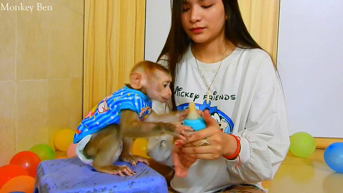 MonkeyBen3 tweet picture