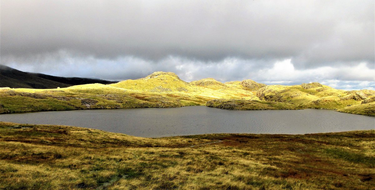 StanLeigh18's tweet photo. #LakeDistrict - #Tarns, a short series - the 5th set

#StyheadTarn at the head of #Borrowdale [July 2010]
#SprinklingTarn beneath #GreatEnd [Sept 2019]
#RedScreesTarn near the summit cairn &amp; Trig Column
#TarnatLeaves near #RosthwaiteFell #Bessyboot [Nov 2018] https://t.co/2ir8sGbAoJ