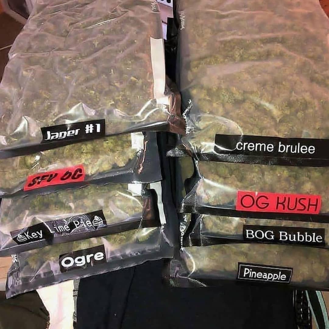 JohnKev420's tweet photo. Faite vous livrer en mp sur
Snapchat: plugcannabis420
Wickr: plugdacker420
#BaladeSympa #Occitanie #ariège #randonnée #nature #breteuil #MagnifiqueFrance #LaVilla5 #BeautifulFrance #Pyrénées #Chantilly #ciel #Eure #onarrive #Hyeres #var #larochesuryon #JaimeMaFrance #Annecy_live https://t.co/F7d8HS6ZPV