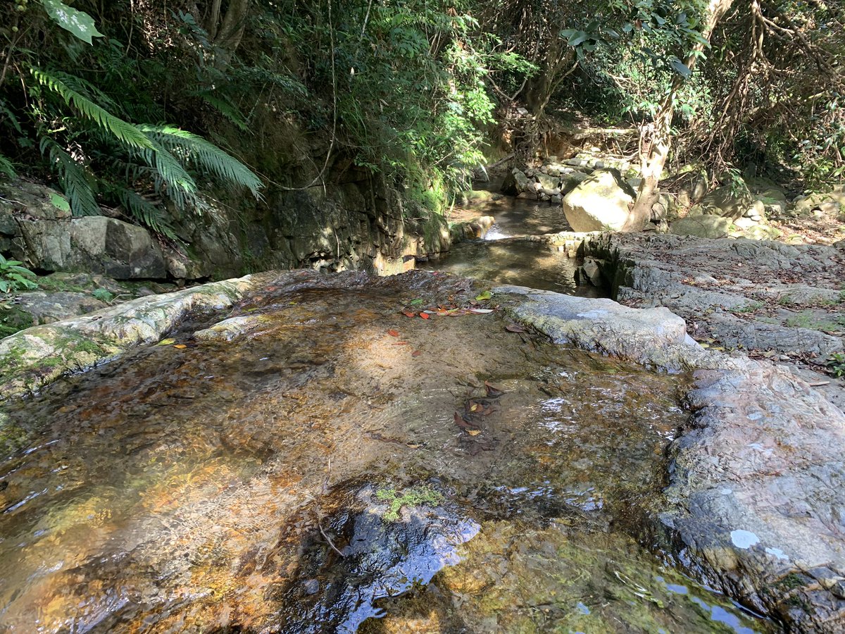 This might be my new favourite hike — downhill, shaded, no people and rock pools 