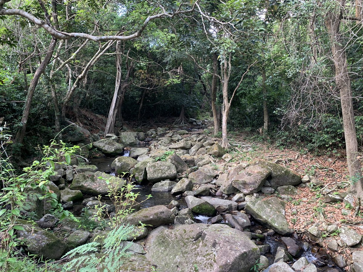 This might be my new favourite hike — downhill, shaded, no people and rock pools 