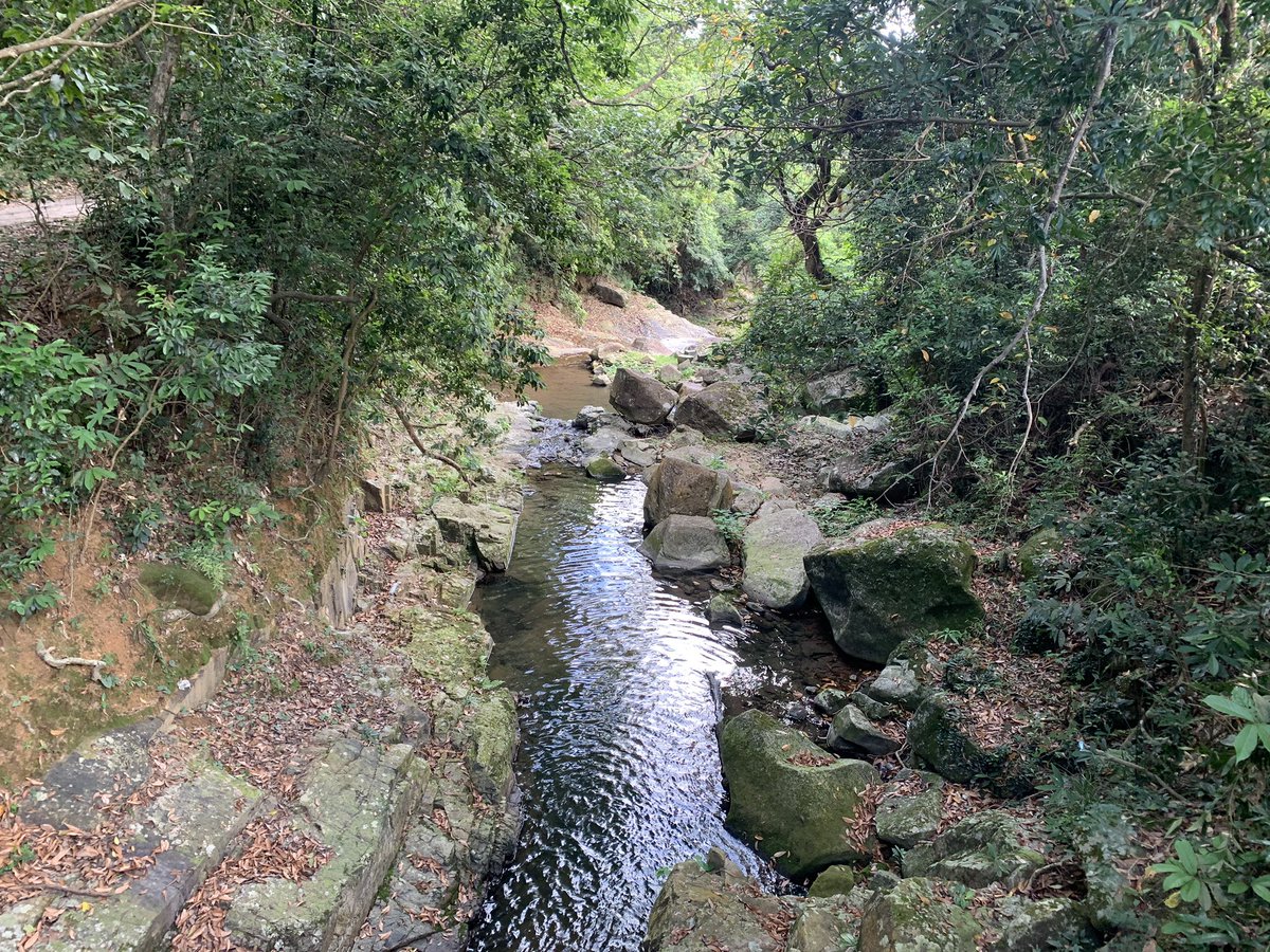 This might be my new favourite hike — downhill, shaded, no people and rock pools 