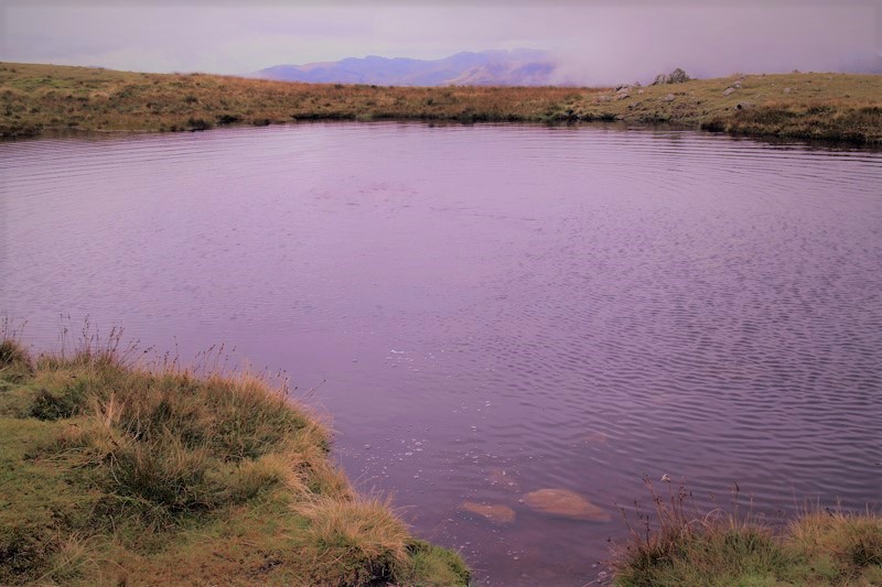 StanLeigh18's tweet photo. #LakeDistrict - #Tarns, a short series - the 5th set

#StyheadTarn at the head of #Borrowdale [July 2010]
#SprinklingTarn beneath #GreatEnd [Sept 2019]
#RedScreesTarn near the summit cairn &amp; Trig Column
#TarnatLeaves near #RosthwaiteFell #Bessyboot [Nov 2018] https://t.co/2ir8sGbAoJ