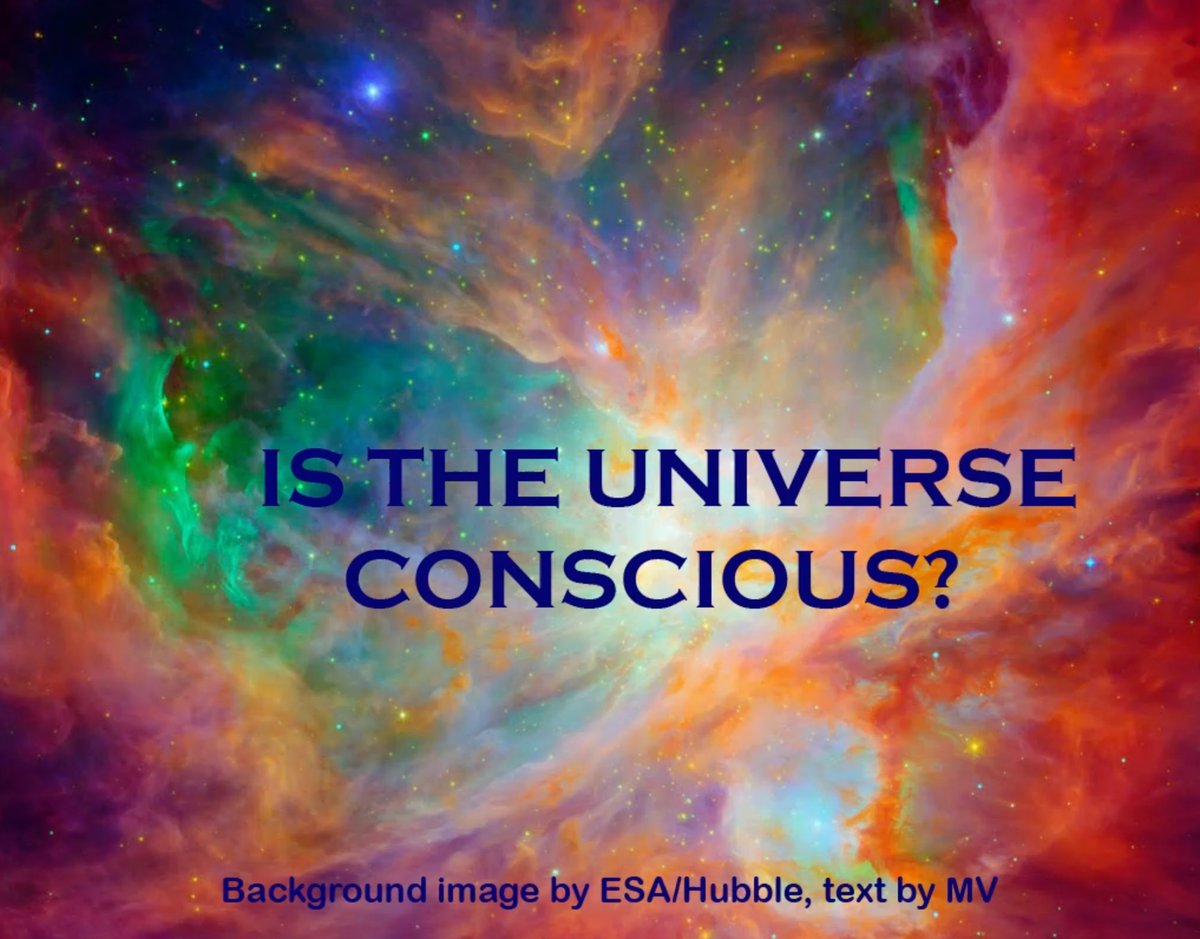 Max Velmans (@mvelmans) on Twitter photo 