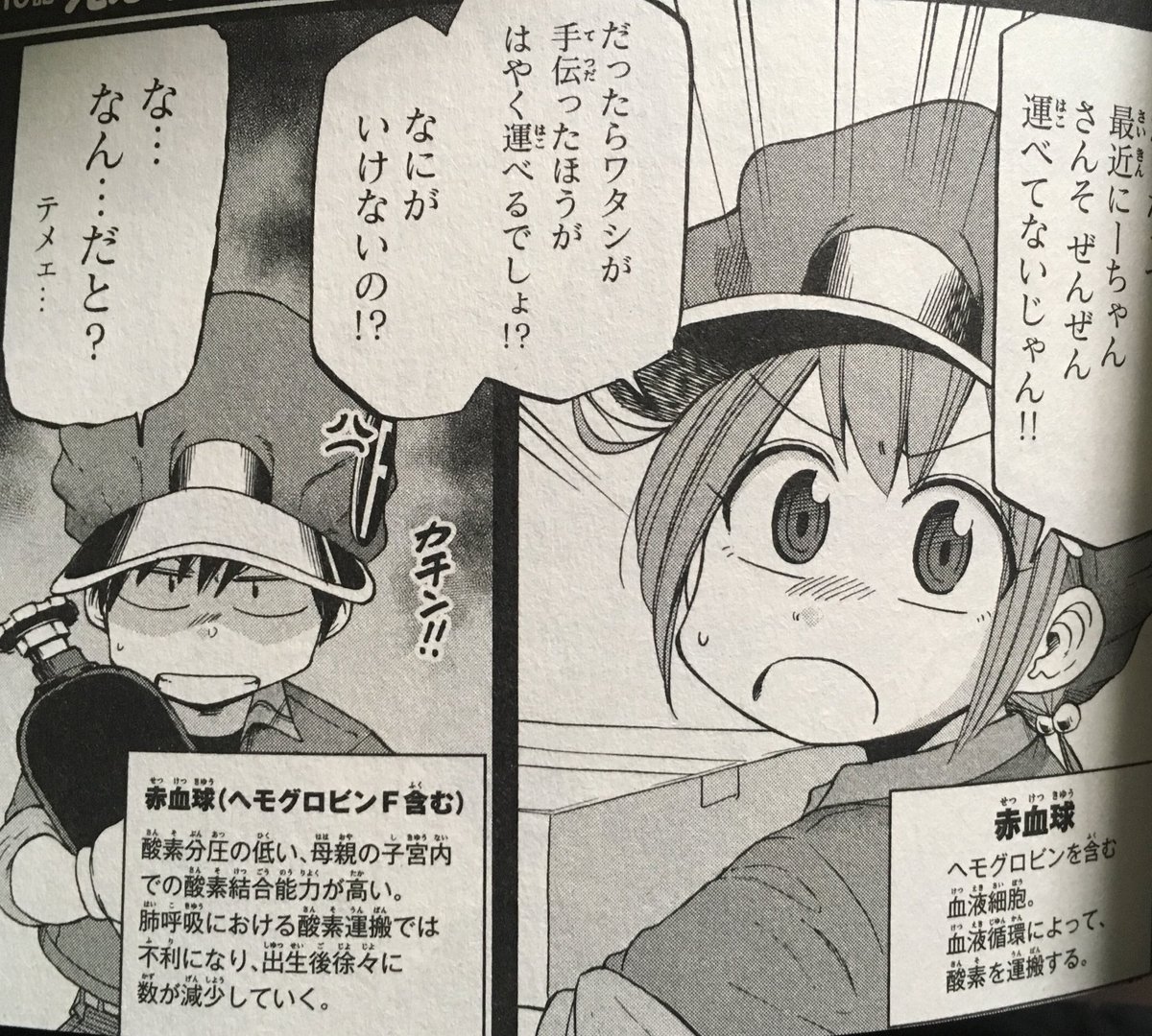 本日のはたらく細胞BABY2巻の見どころ!!今日は赤血球ちゃんがFにーさんと喧嘩しちゃった時の泣き顔。への字口がポイント✨2巻の中で一番感情が出てる顔が描けたんじゃないかと思ってます☺️
オマケも総扉、空きページとカバー裏と描いたので楽しんでいただければと思います!7月20日発売です✨