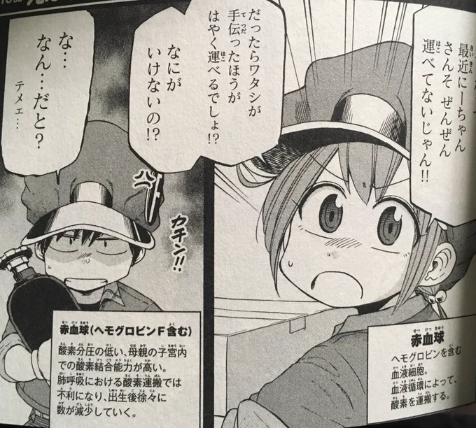 本日のはたらく細胞BABY2巻の見どころ!!今日は赤血球ちゃんがFにーさんと喧嘩しちゃった時の泣き顔。への字口がポイント✨2巻の中で一番感情が出てる顔が描けたんじゃないかと思ってます☺️
オマケも総扉、空きページとカバー裏と描いたので楽しんでいただければと思います!7月20日発売です✨ 