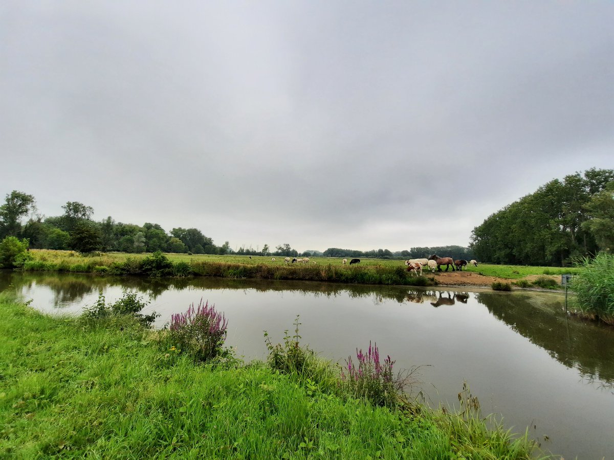 vanassche_ann's tweet photo. #vrtweer #Gent #Bourgoyen #10u45 https://t.co/Ds3gr8MUfm