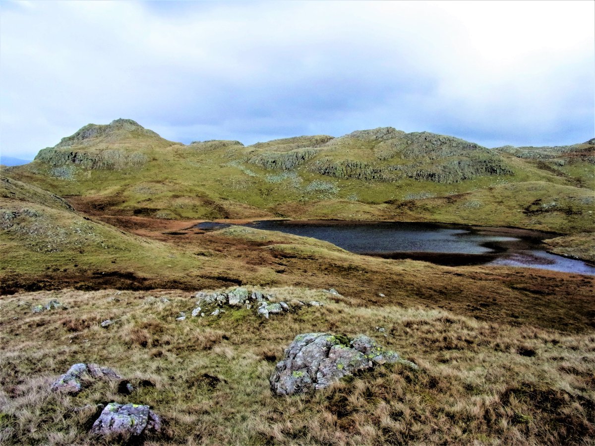 StanLeigh18's tweet photo. #LakeDistrict - #Tarns, a short series - the 5th set

#StyheadTarn at the head of #Borrowdale [July 2010]
#SprinklingTarn beneath #GreatEnd [Sept 2019]
#RedScreesTarn near the summit cairn &amp; Trig Column
#TarnatLeaves near #RosthwaiteFell #Bessyboot [Nov 2018] https://t.co/2ir8sGbAoJ