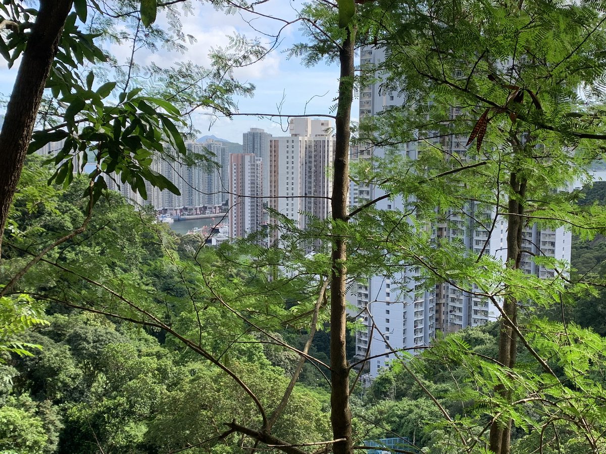 A glimpse of Aberdeen through the trees as we near sea level again
