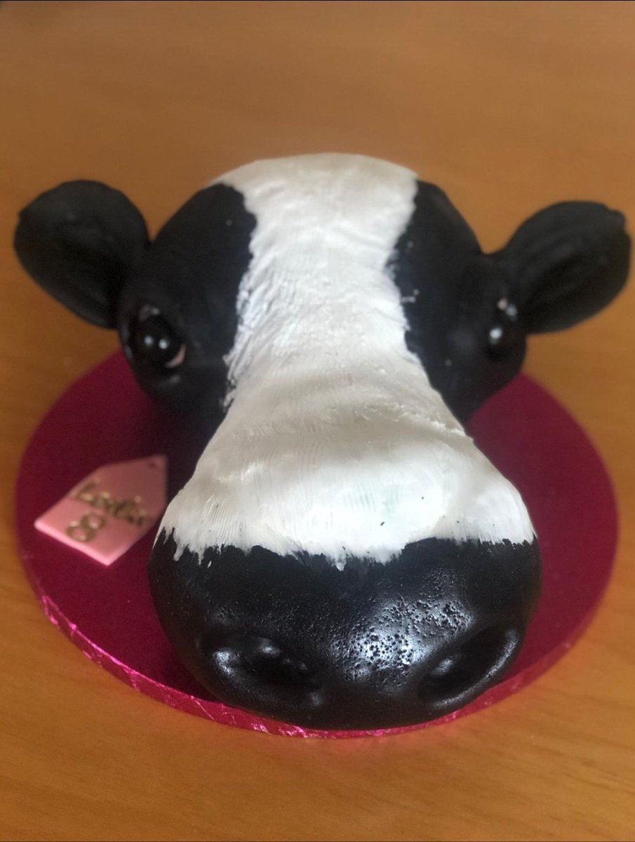 ddiezworld's tweet photo. Cake made by an asylum seeker, so much skills wasting away in #DirectProvisioncentres we've been advocating for an all inclusive #righttoworkforall hopefully the current government listens. I hope when you see this, you'll realise that asylum seekers are not "charity cases" https://t.co/QOJfPSoJch