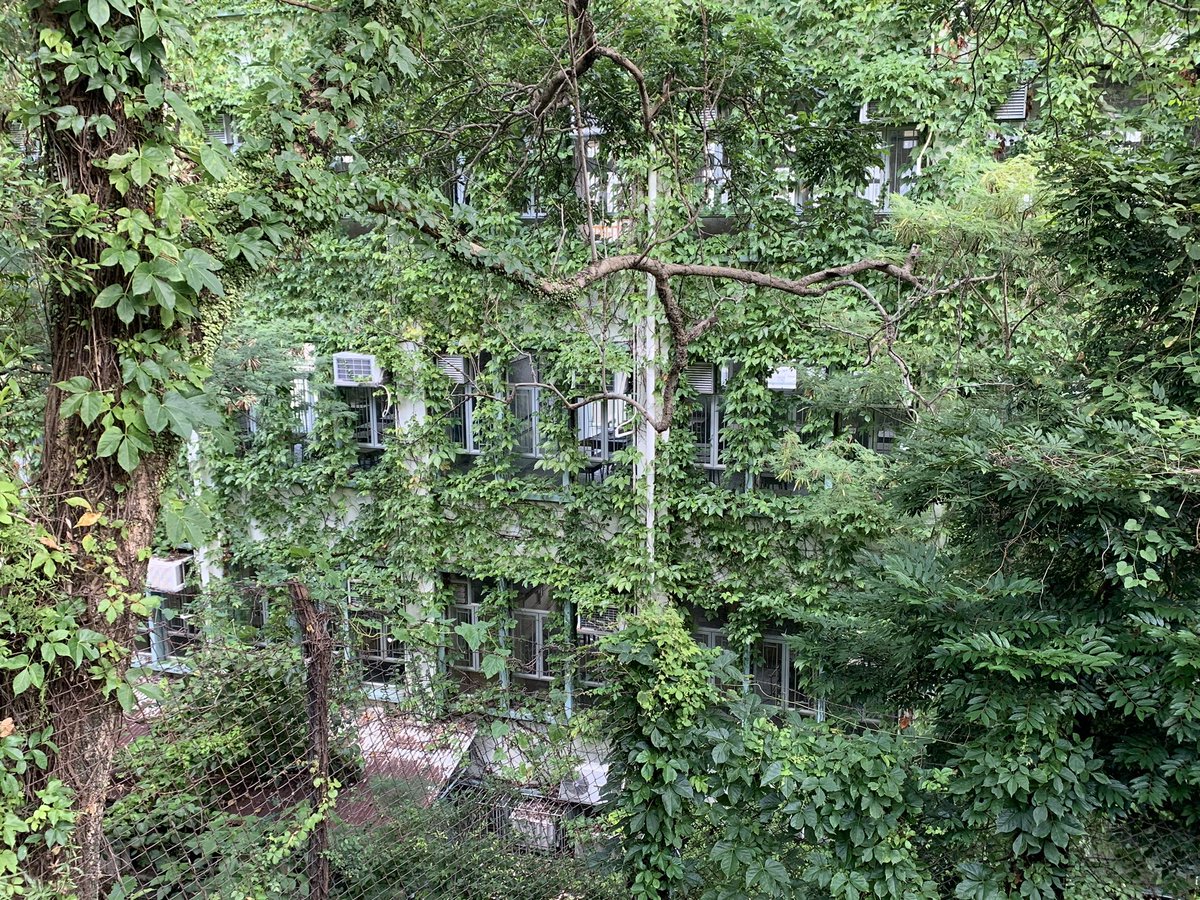 Old abandoned school on the last of Peel Rise into Aberdeen. Definitely full of   