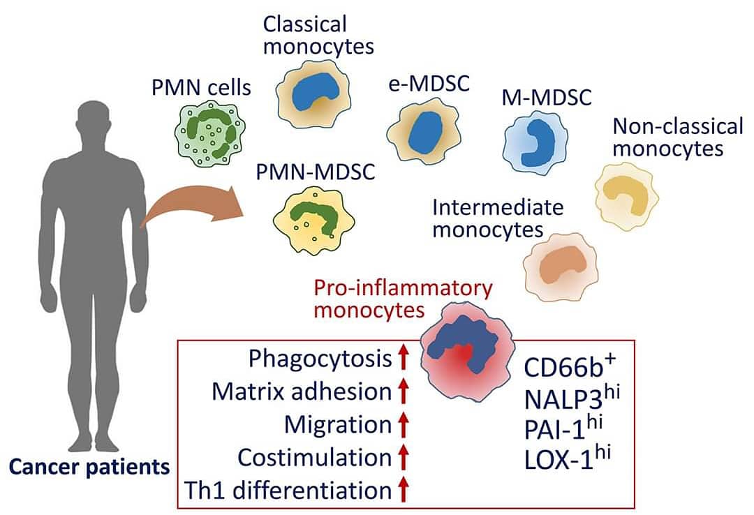 esendaglilab's tweet photo. Kansere karşı mücadelede önemli bir adım daha 👨🏻‍🔬

Another important step on the fight against cancer 🔬
#esendaglilab

#cancer #immunology #cancerimmunology #cancerimmunologyimmunotherapy #biology #cancerbiology https://t.co/xy9VlZWhkq