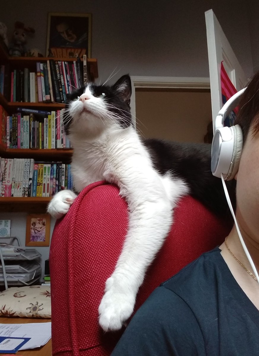 Milmo ☕✨🏳️‍🌈 tweet media