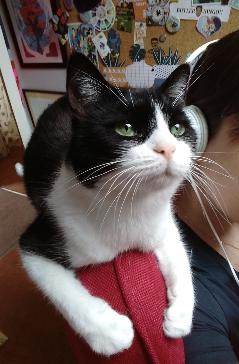 Milmo ☕✨🏳️‍🌈 tweet media