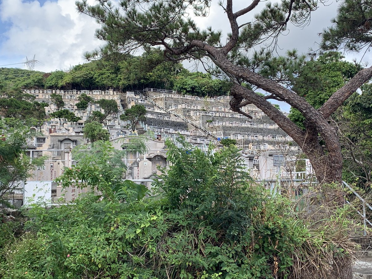 Oh I’m at Aberdeen Cemetery, I’ve never been here before. It’s huge.