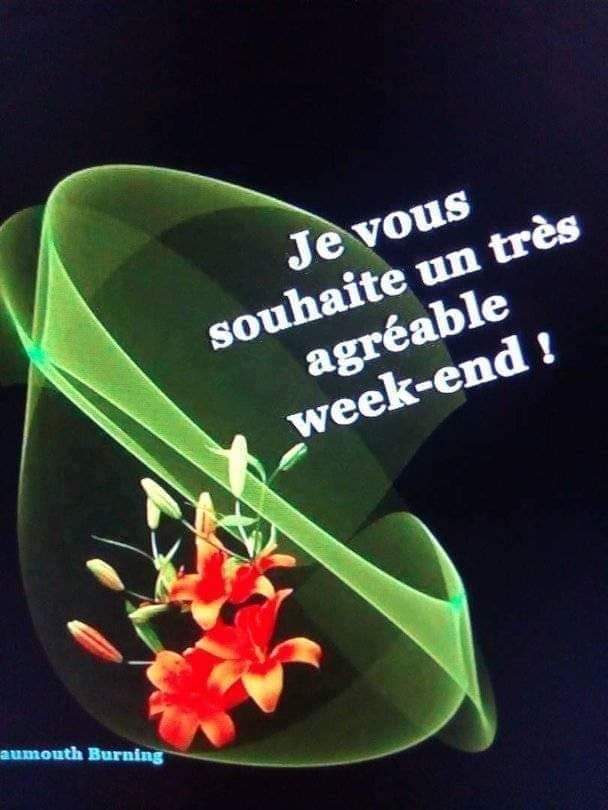 PEPANGO's tweet photo. Agréable week-end la famille #Oser https://t.co/JpFhqCPXeu