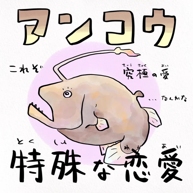 アンコウのオスは究極のヒモ 