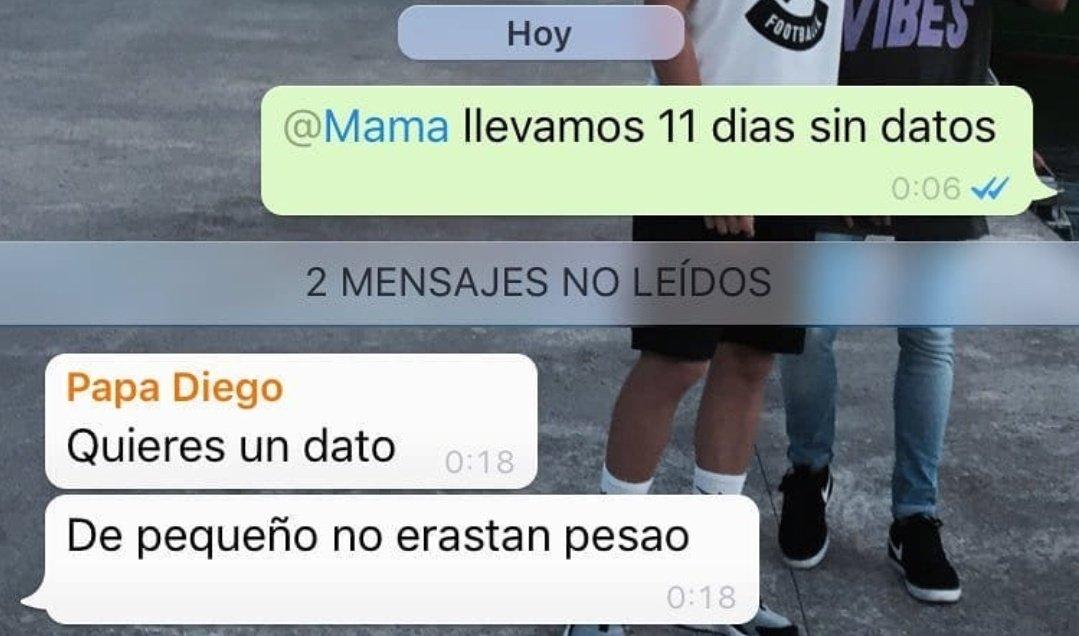 perritocolega tweet media