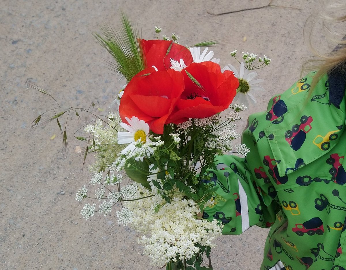 Pro-tip 8: Let live bloom. Kids like collecting Flowers. If you have a lawn, try not to mow it. Even better: put some shrubs where the grass has been. The more species there will live, the better. Kids will find and live them all.