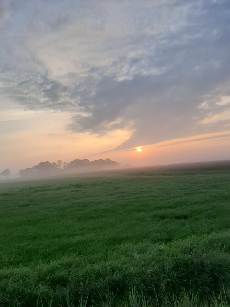 corhpol's tweet photo. Het #vakantiegevoel zonder vakantie doe je ook dicht bij huis op. Prachtige vroege #wandeling rondom #schaphalsterzijl #winsumerdiep #reitdiep #winsum #hethogeland #groningen #nederland #waddenlandnl #visitgroningen #ergaatniksbovengroningen #walking #stayfit https://t.co/7MWsNoM1SS