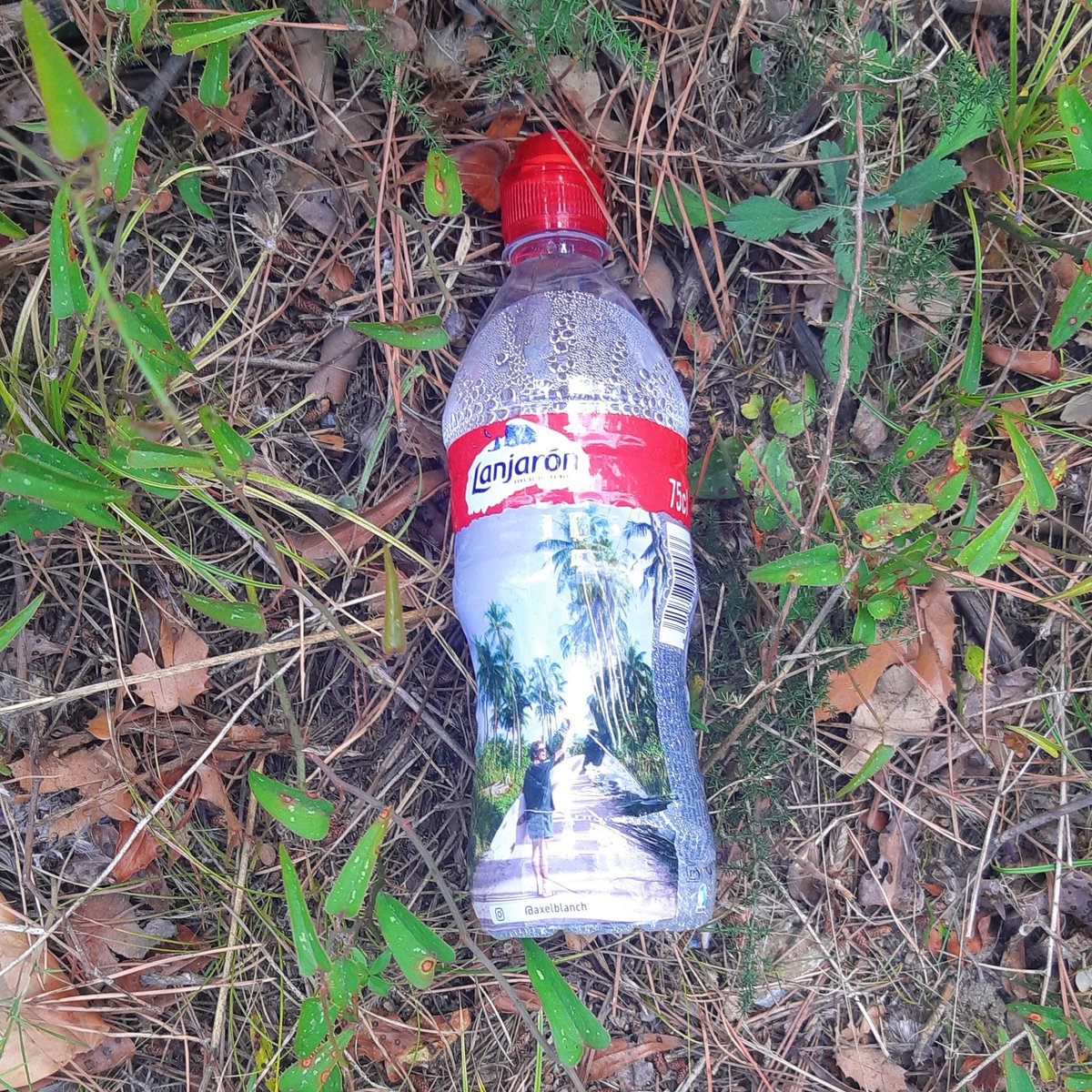 BcnPloggingCong's tweet photo. 🥺 Marcas con conciencia medio ambiental que no merecen el incivismo de sus consumidores...
.
#plogging #agualanjaron #medioambiente #residuos #incivismo #bcnploggingcongress #environment #FactsDeReciclaje #lanjaron #Lanjarón #ConcienciaMedioAmbiental https://t.co/lUlzkvn9lz