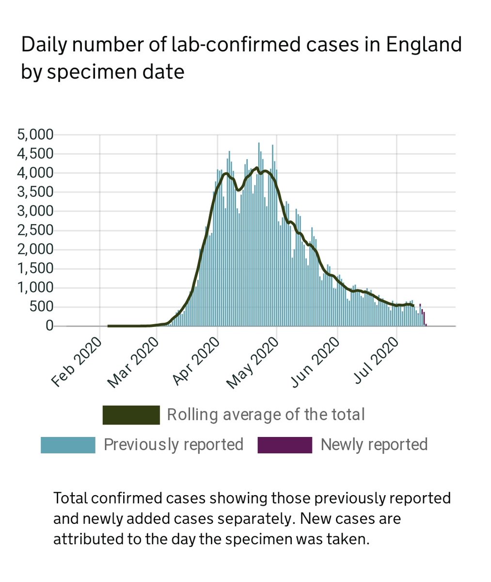 Florence Schechter tweet media