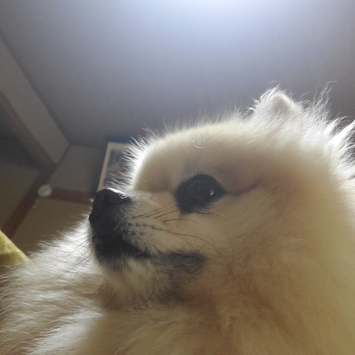 MbumpSt's tweet photo. #新しいプロフィール画像 https://t.co/BBeiklDPBX