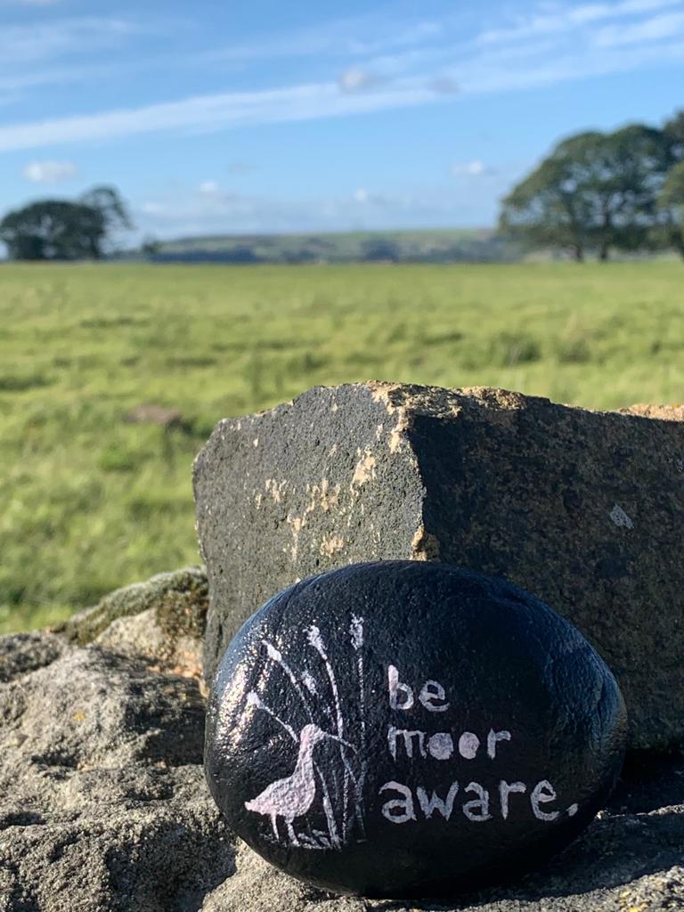 WYFRS's tweet photo. Heading out into the countryside this weekend? 🌄

😀 Make sure to keep an eye out for our #MoorlandRocks!

They're located on moorlands all across West Yorkshire. 

If you see one, take a photo &amp; share it with us on social media using #BeMoorAware. 📸

https://t.co/sq9YPPTkFy https://t.co/0aG2QzKVO6