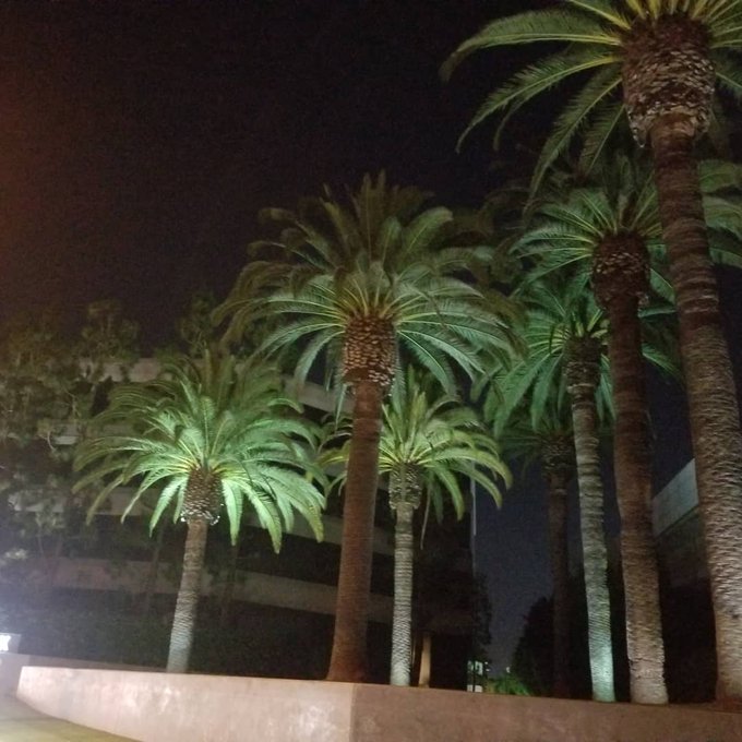 Last night in LA!  Took a stroll after the shoot! Everything was big shut down cause of COVID but still<a href="/tag/model"class="tags"><span>#model</span></a><a href="/tag/la"class="tags"><span>#la</span></a><a href="/tag/pornstars"class="tags"><span>#pornstars</span></a><a href="/tag/hawthorne"class="tags"><span>#hawthorne</span></a><a href="/tag/covid"class="tags"><span>#covid</span></a>