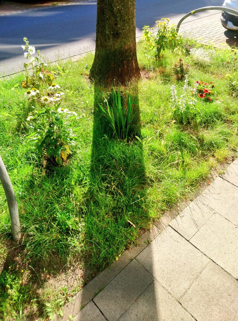 Bonus-tip: You're super-male? You like competition? You want wo show your neighbor what a cool guy you are?Try GARDENING!Gardening is a great way of competition. Find a boring green space in your street and make it nicer. Tell your neighbor. See who's got the greens thumb. 