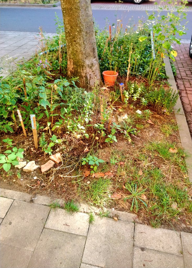 Bonus-tip: You're super-male? You like competition? You want wo show your neighbor what a cool guy you are?Try GARDENING!Gardening is a great way of competition. Find a boring green space in your street and make it nicer. Tell your neighbor. See who's got the greens thumb. 