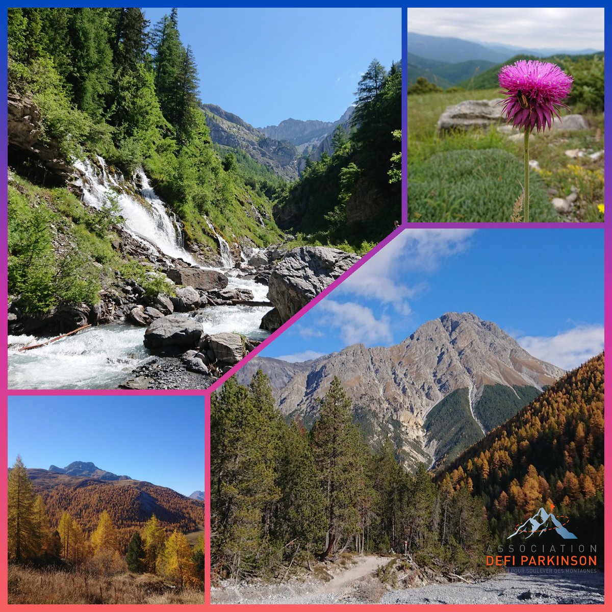 DefiParkinson's tweet photo. Happy active Saturday! 🚶‍♂️🥾

Beautiful day, and Yves is hitting the target for the week ⏱➡️14.5% complete!

Follow updates
https://t.co/Sb437qTa7M

Support and Share
https://t.co/3BovmExyC0

#Parkinson #ParkinsonChallenge #hiking
@LashuelLab @epflSV @ORCAProd @parkinson_ch https://t.co/hitjCfqQvp
