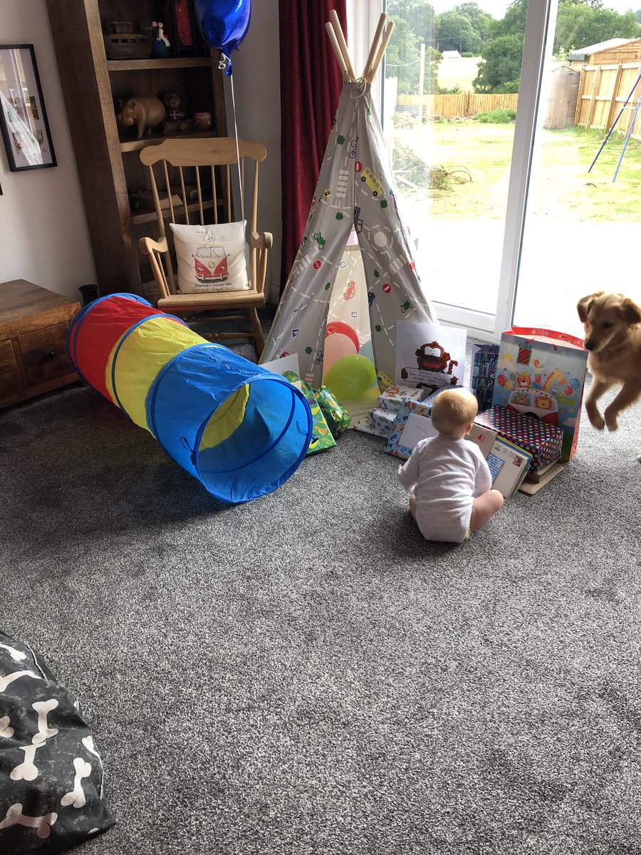 higgsabelle's tweet photo. Just like that we have a one year old!! It’s been the fastest yr ever but filled with so much love and pride. A trip to the zoo yesterday and a very excited (and now napping!)  birthday boy this morning 🥰 https://t.co/HNH4qiOe5B